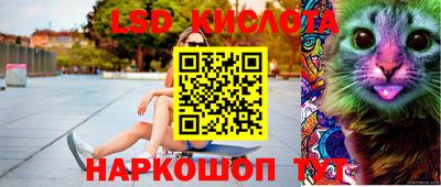 крисы Краснодар