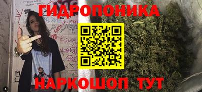 крисы Краснодар