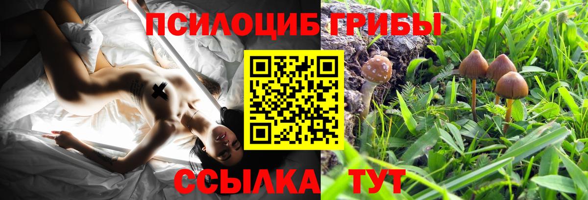 Дубна  Псилоцибиновые грибы мухоморы  Галлюциногенные грибы Psilocybe  Вход с VPN 